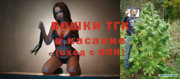 МДПВ Липки